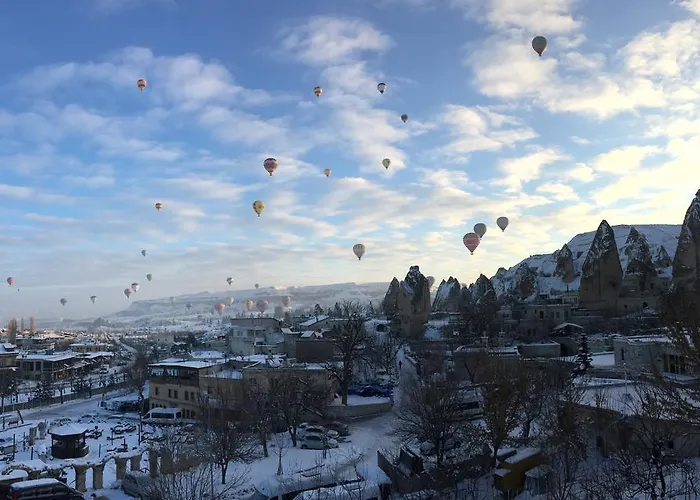 Hotel Historical House