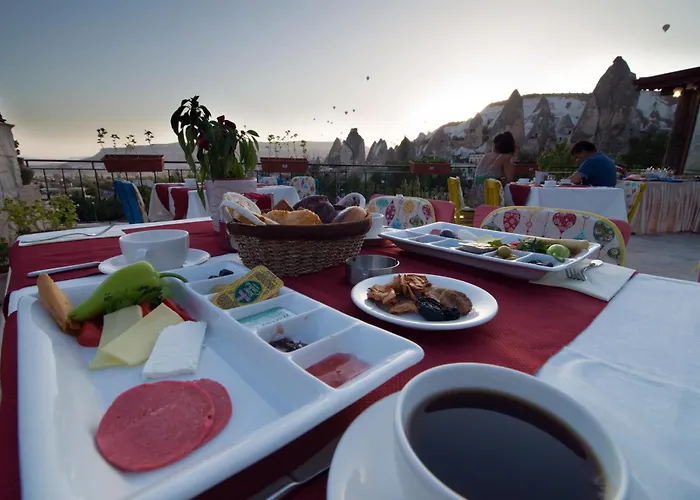 Hotel Historical House